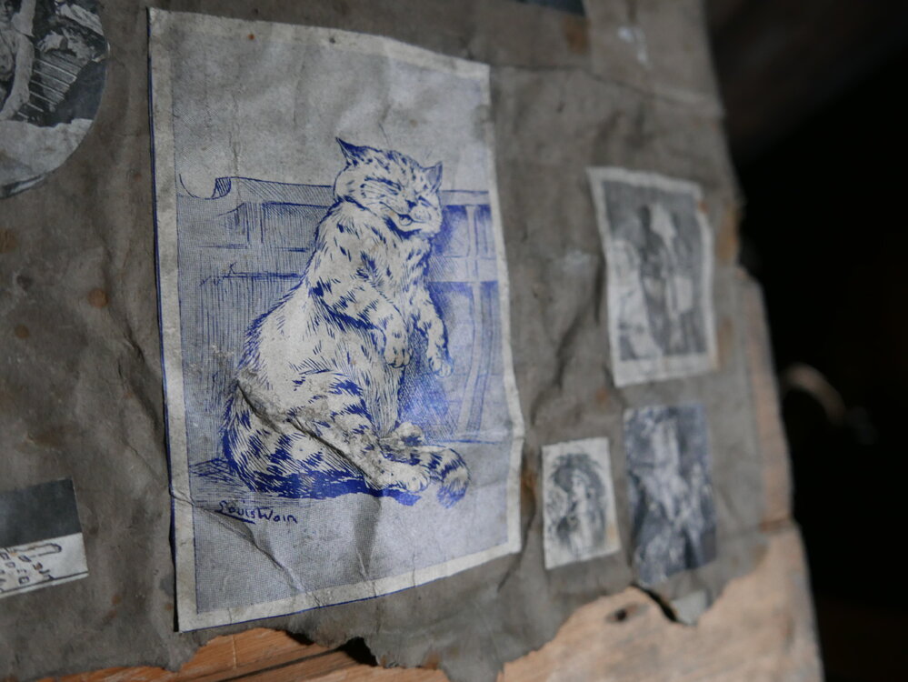 2017-18 Scott's 'Terra Nova' hut, interior, The Tenements art