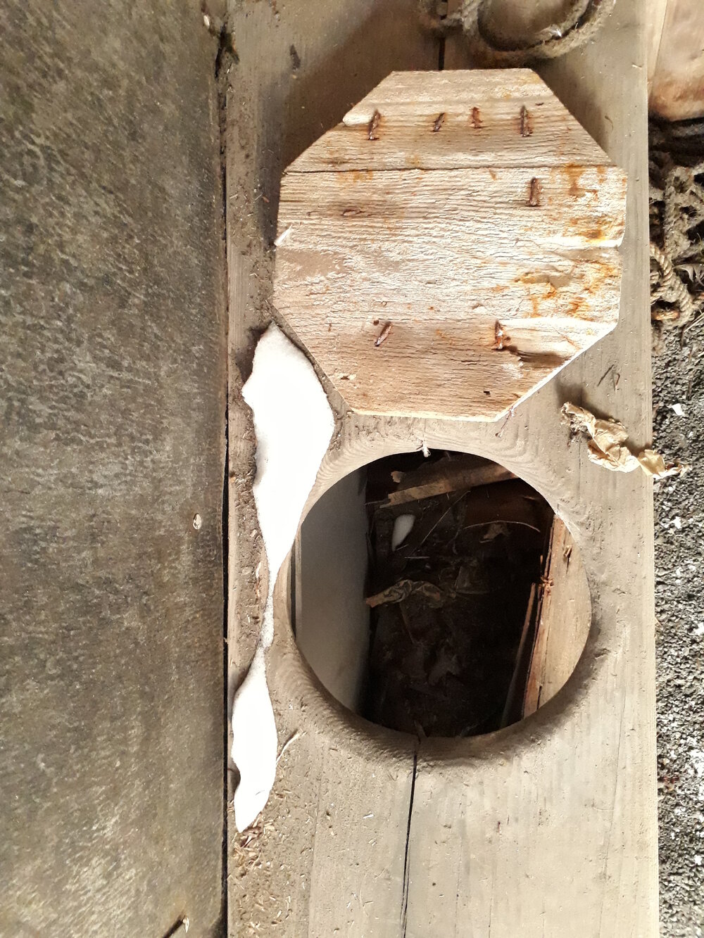 2017-18 Scott's 'Terra Nova' hut, work task, snow ingress (014)