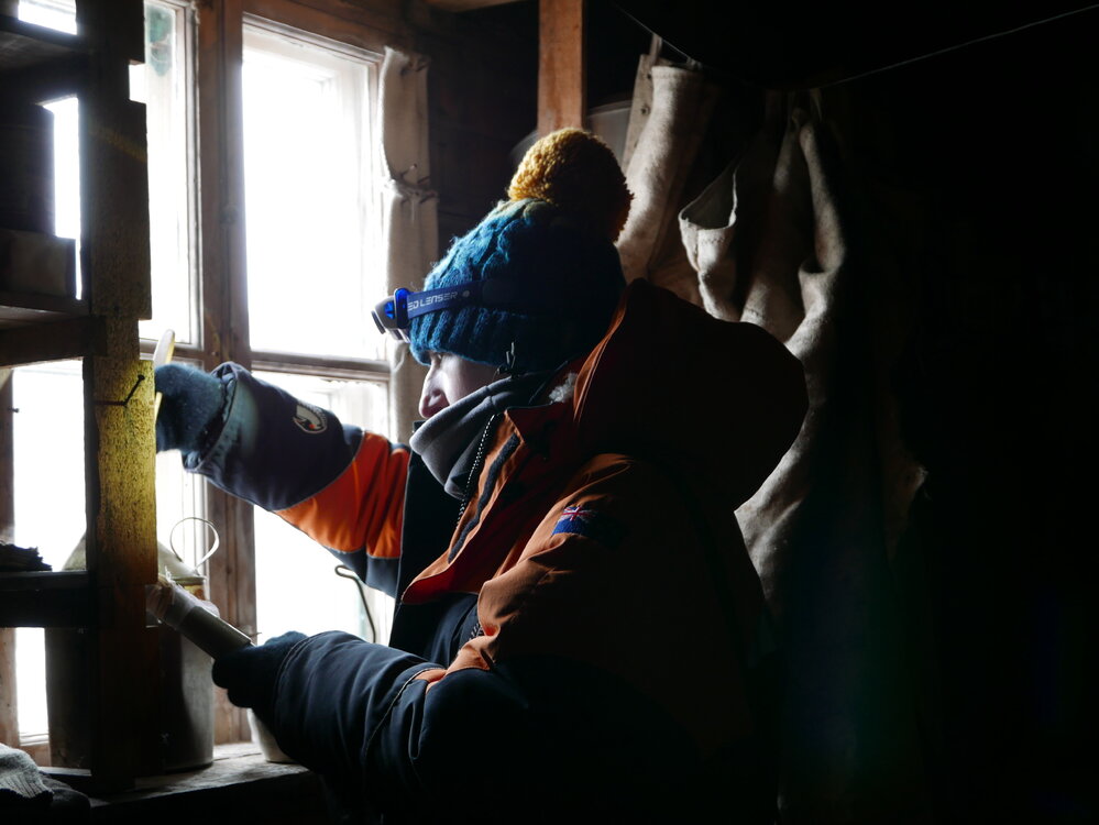 2017-18 Shackleton's 'Nimrod' hut, conservators at work, Conservation Ambassador Diana McCormack