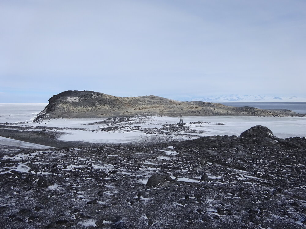 2017-18 Cape Royds Ad&eacute;lie penguin rookery