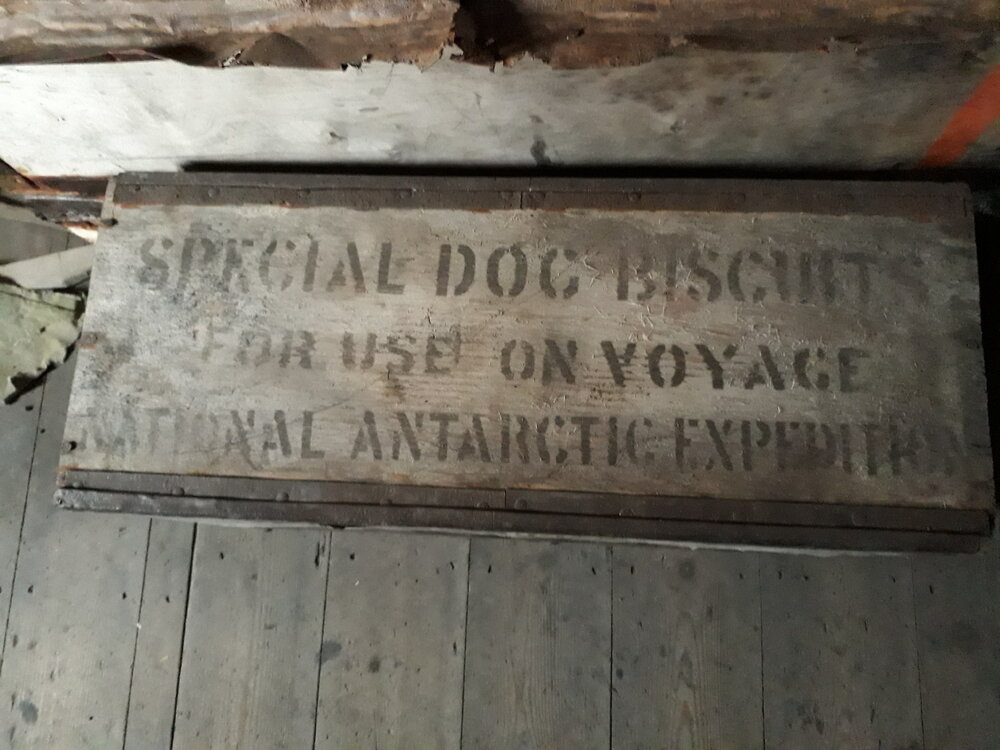 2017-18 Scott's 'Discovery' hut, interior, dog biscuit box