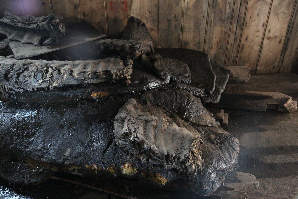 2017-18 Scott's 'Discovery' hut, interior, seal blubber stack detail