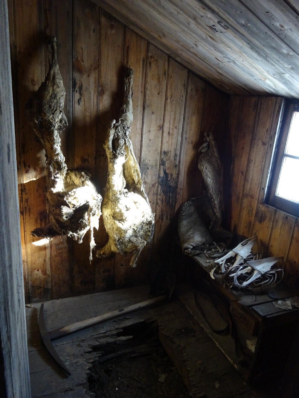 2017-18 Scott's 'Discovery' hut, interior, Store Room