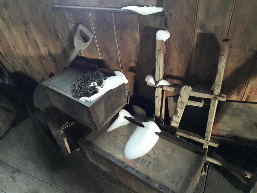 2017-18 Scott's 'Discovery' hut, snow ingress (005)