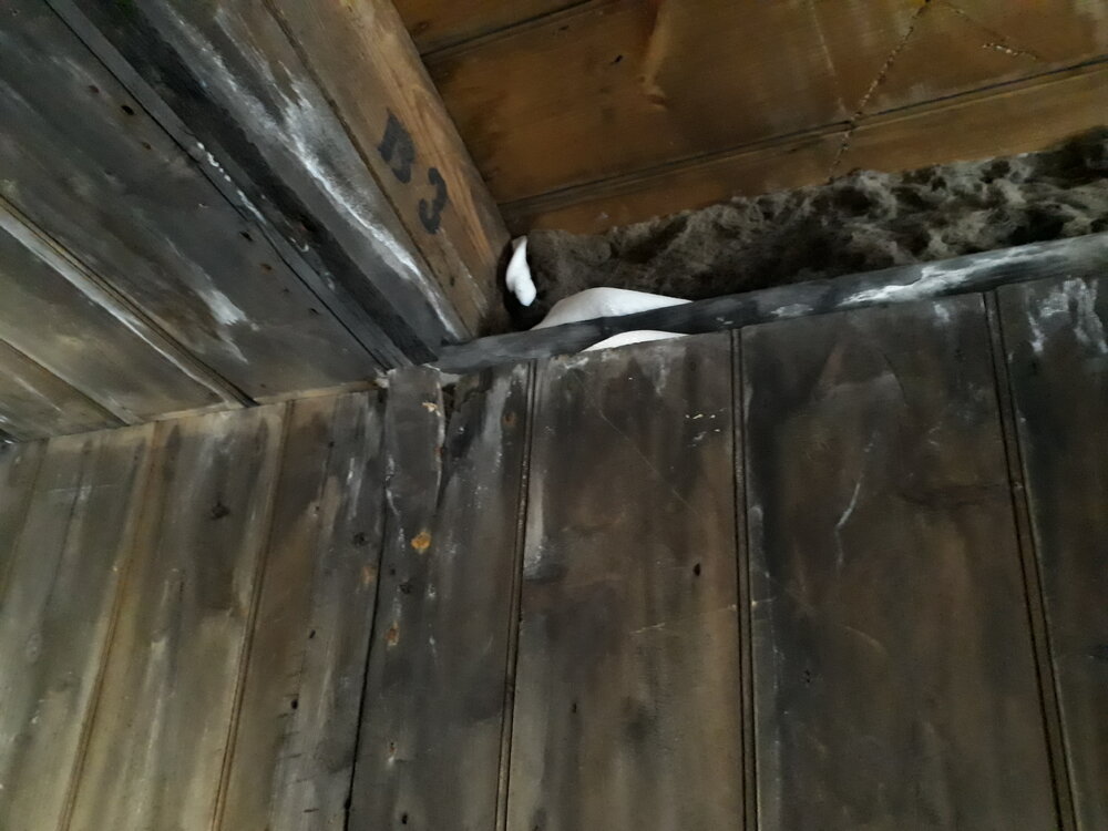 2017-18 Scott's 'Discovery' hut, snow ingress (011)