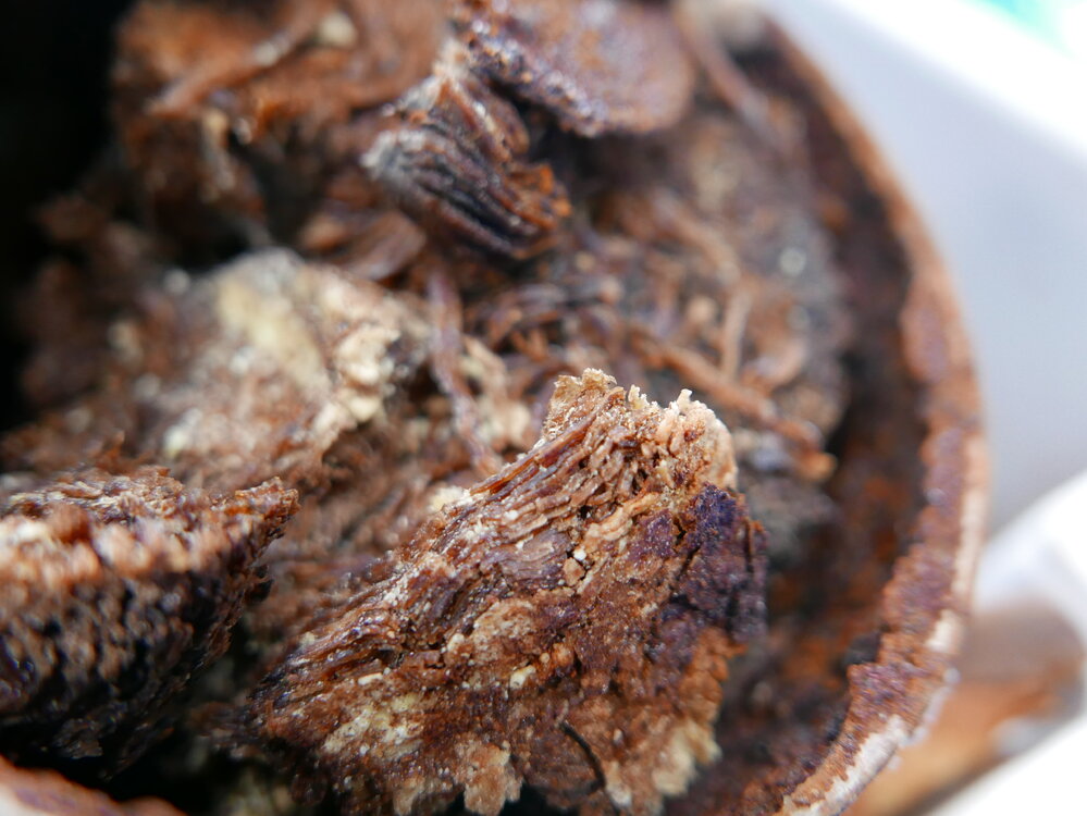 2017-18 Scott Base, Category 5 material from Cape Adare (006)