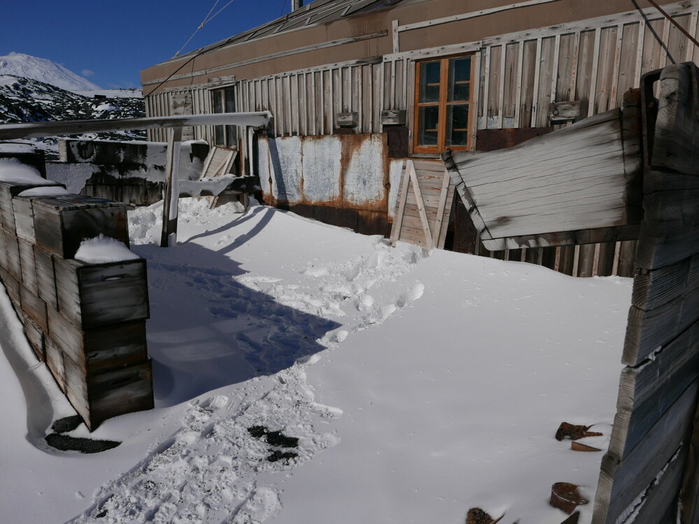 2017-18 Shackleton's 'Nimrod' hut, exterior, Stables