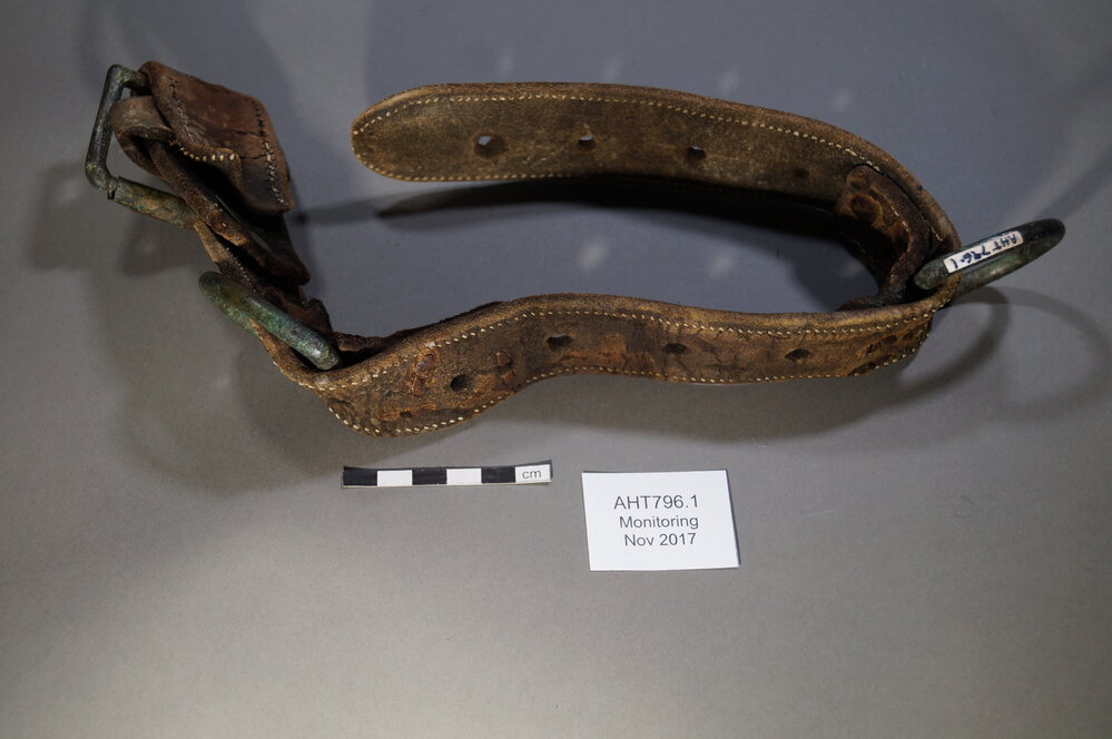 2017-18 Annual artefact monitoring programme, Cape Royds, dog collar