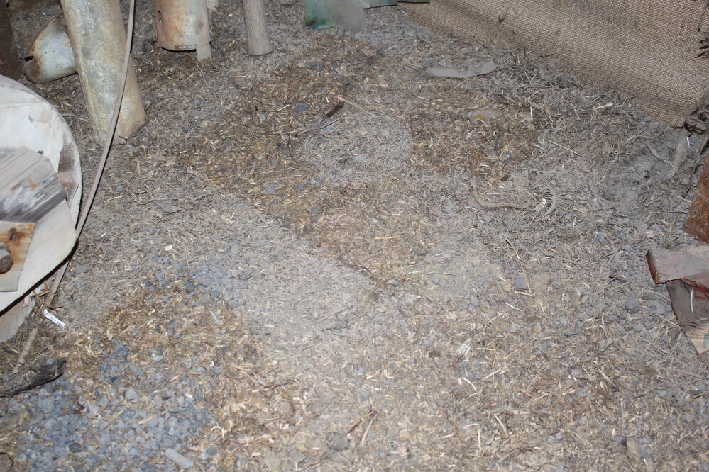 2018-19 Dust levels in the Stables in Scott's 'Terra Nova' hut, Cape Evans