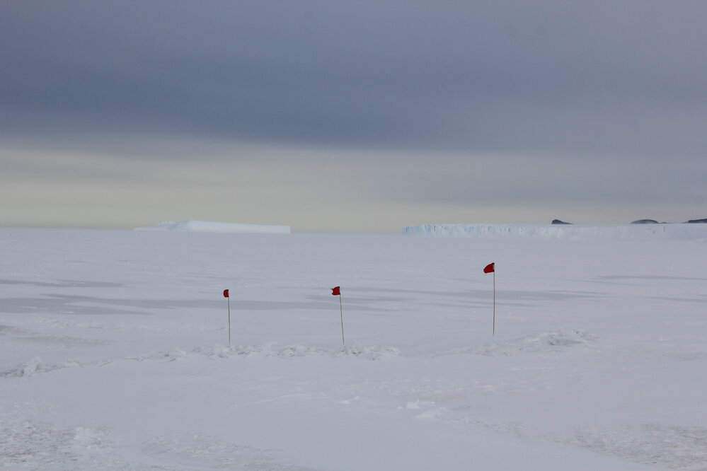 2018-19 Red flags on the sea ice
