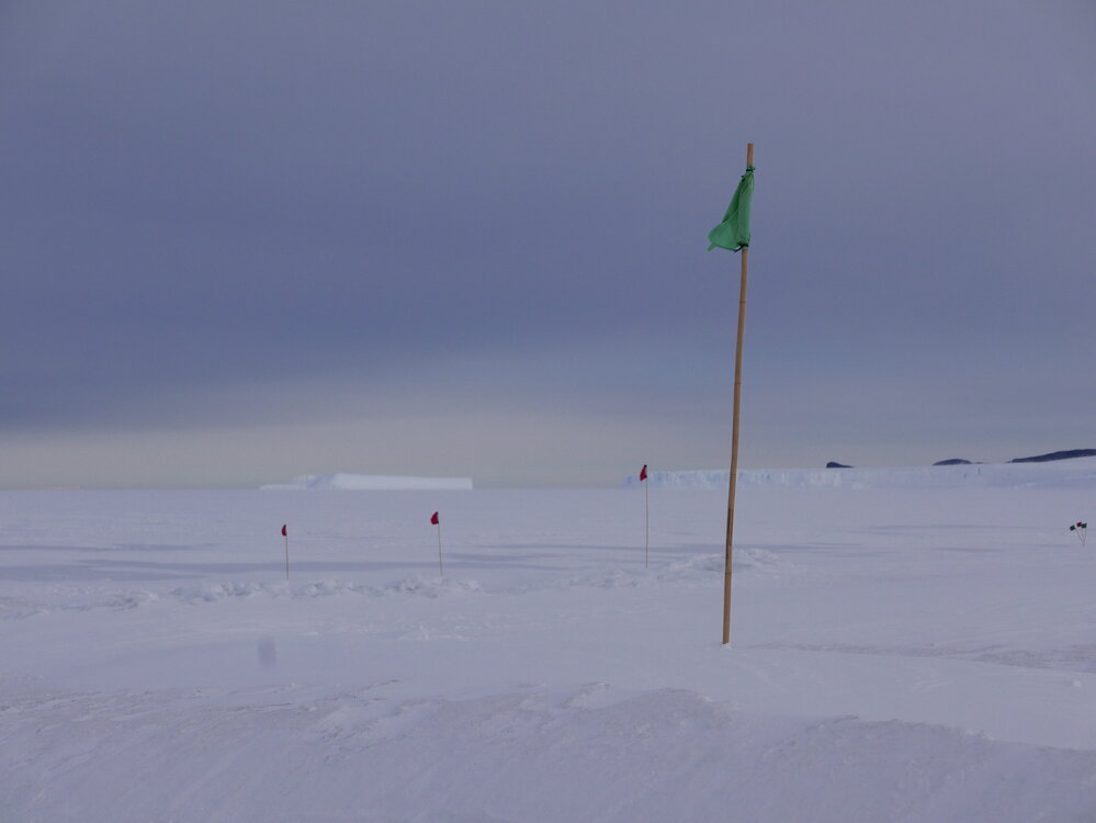 2018-19 Flags in the sea ice at Cape Evans