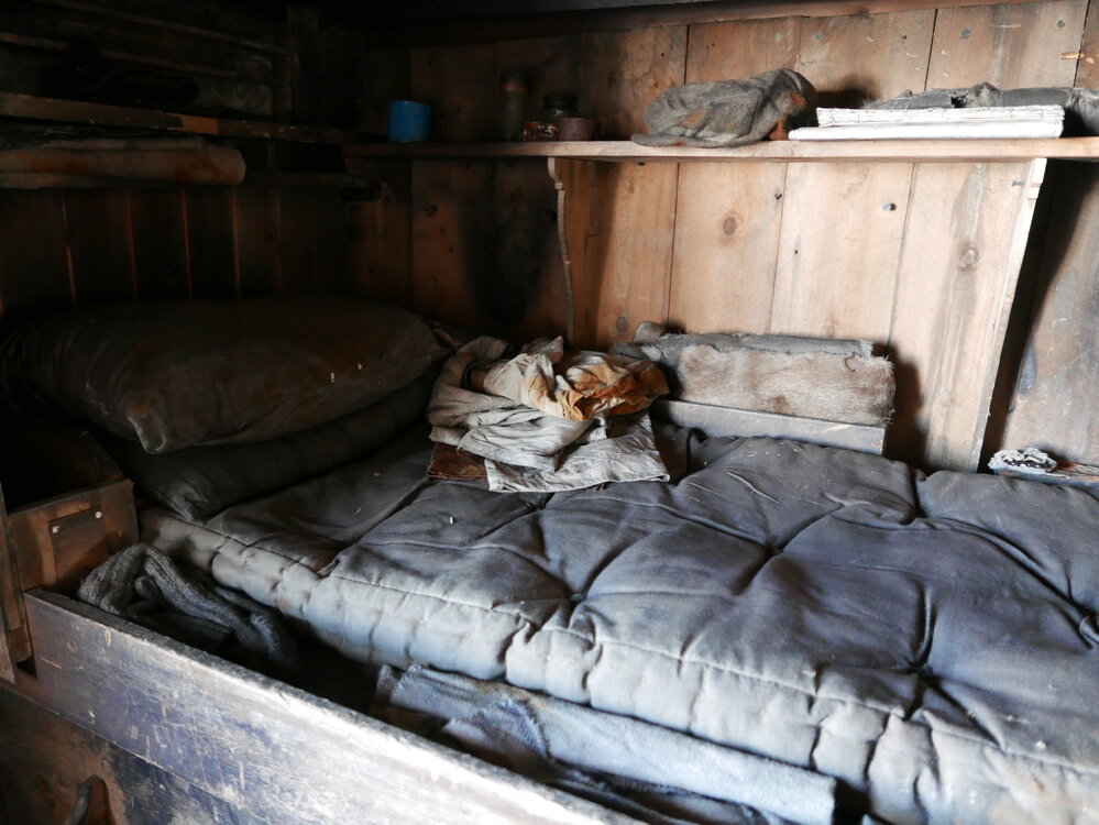 2018-19 Day's bunk inside Scott's 'Terra Nova' hut, Cape Evans
