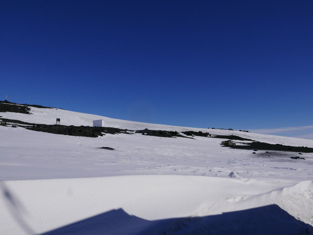 2018-19 Environs on the slopes of Wind Vane Hill, Cape Evans