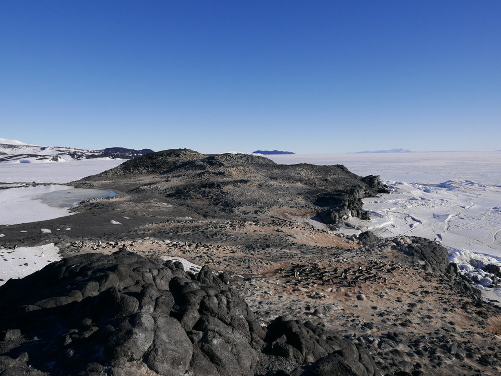 2018-19 Adelie penguin colony at Cape Royds