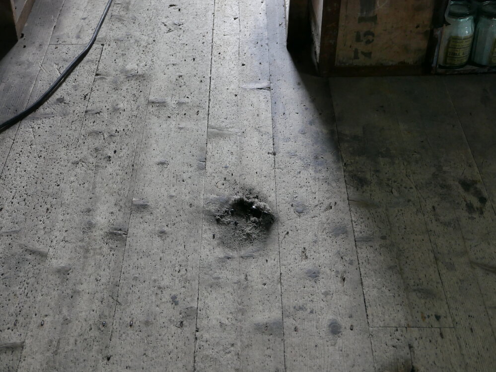 2018-19 Debris swept up inside Shackleton's 'Nimrod' hut, Cape Royds