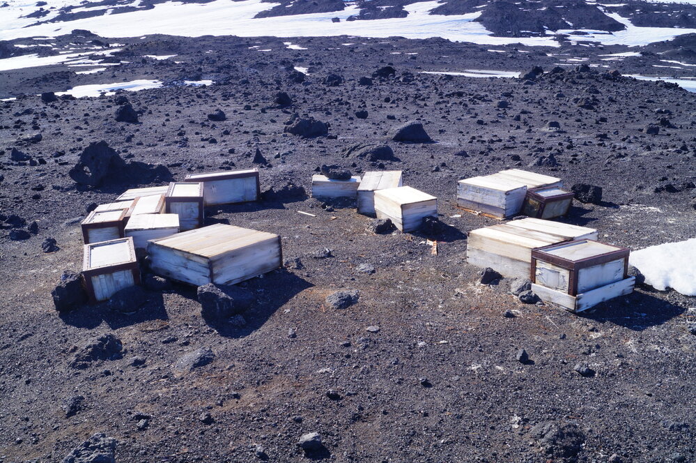 2018-19 Southern stores food cases, Cape Evans (001)