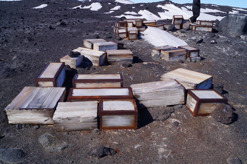 2018-19 Southern stores food cases, Cape Evans (002)