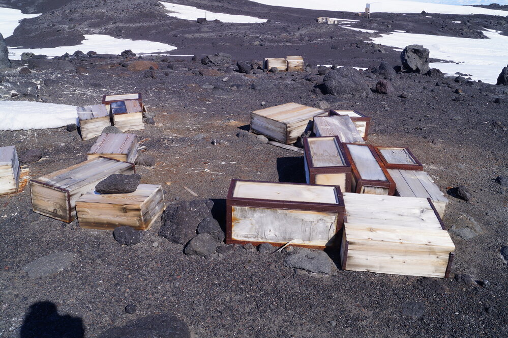 2018-19 Southern stores food cases, Cape Evans (003)