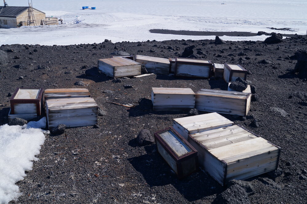 2018-19 Southern stores food cases, Cape Evans (004)