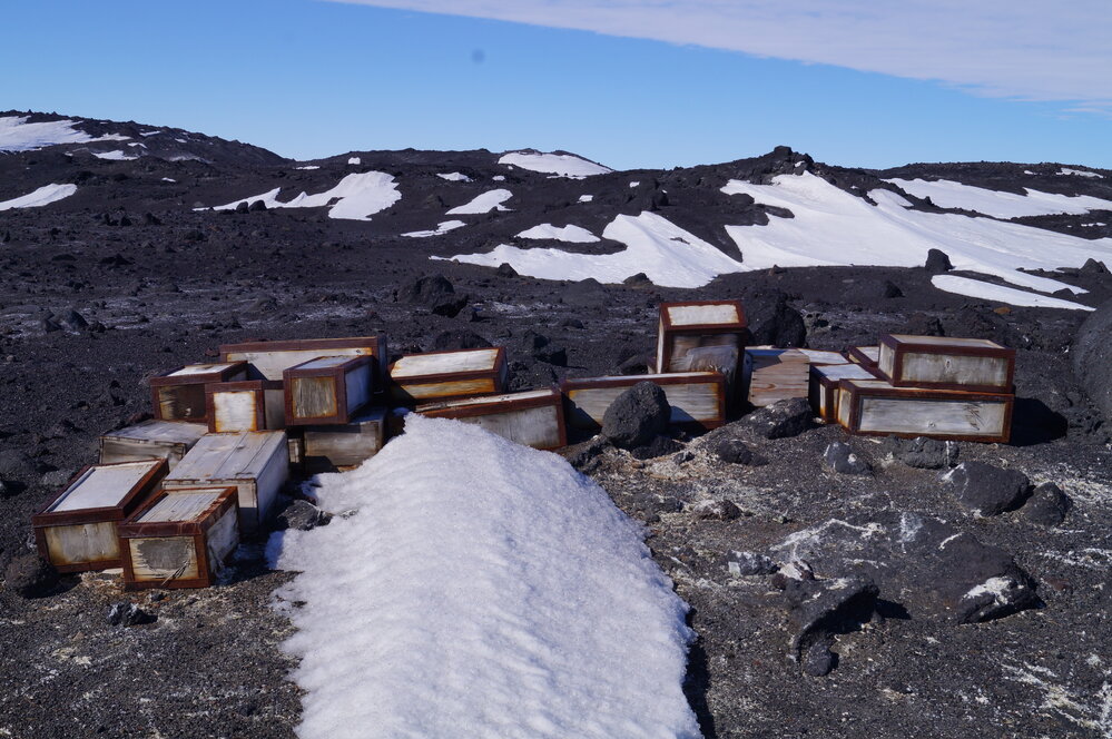 2018-19 Southern stores food cases, Cape Evans (005)