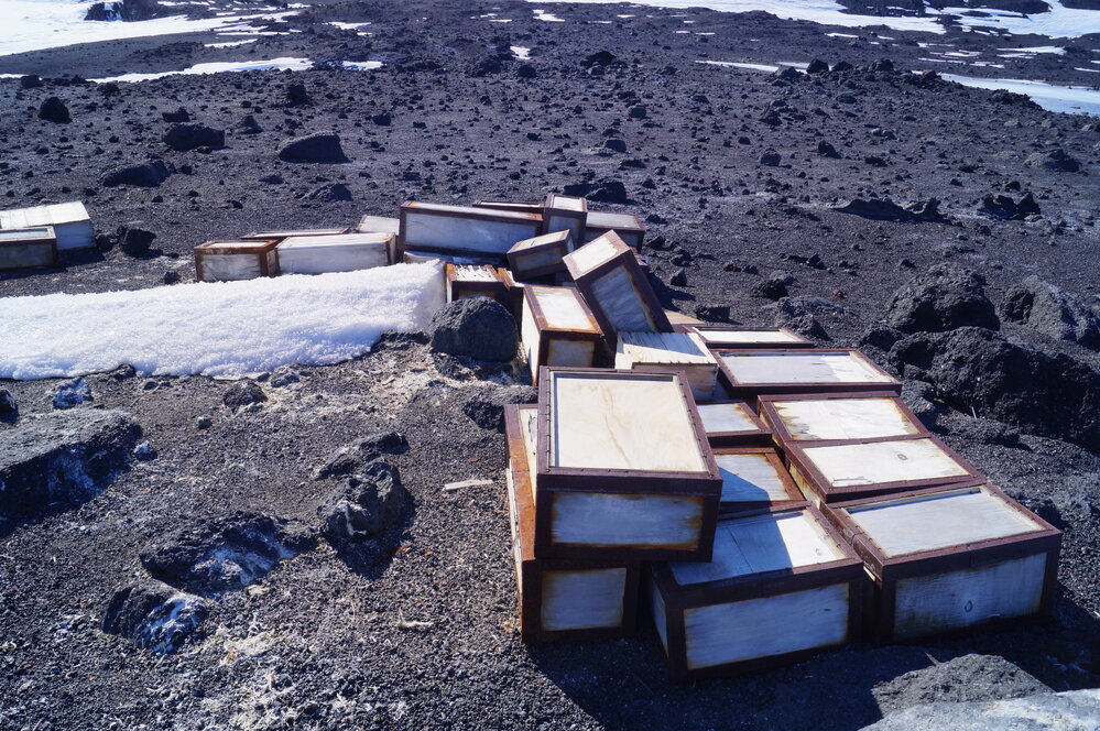 2018-19 Southern stores food cases, Cape Evans (006)