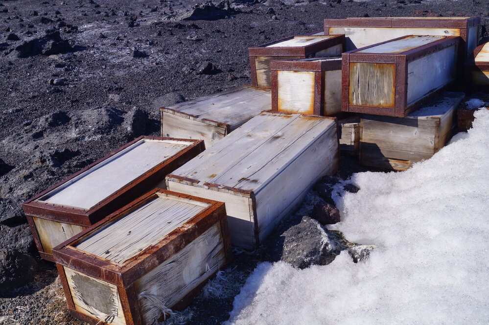 2018-19 Southern stores food cases, Cape Evans (009)