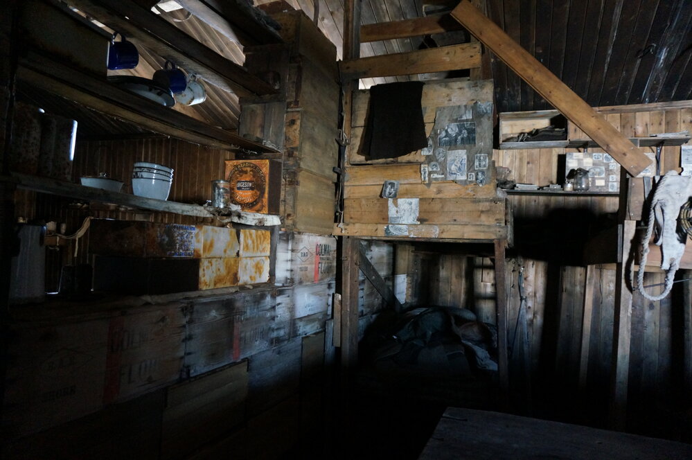 2018-19 Bunks behind the bulkhead inside Scott's 'Terra Nova' hut, Cape Evans