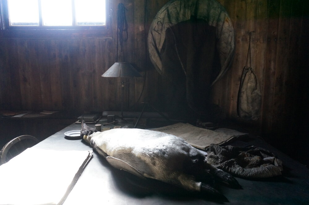 2018-19 Chart table inside Scott's 'Terra Nova' hut at Cape Evans