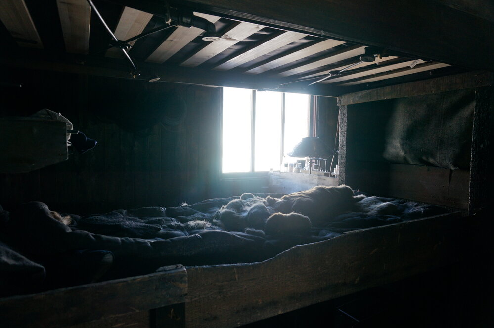 2018-19 Simpson's bunk inside Scott's 'Terra Nova' hut, Cape Evans