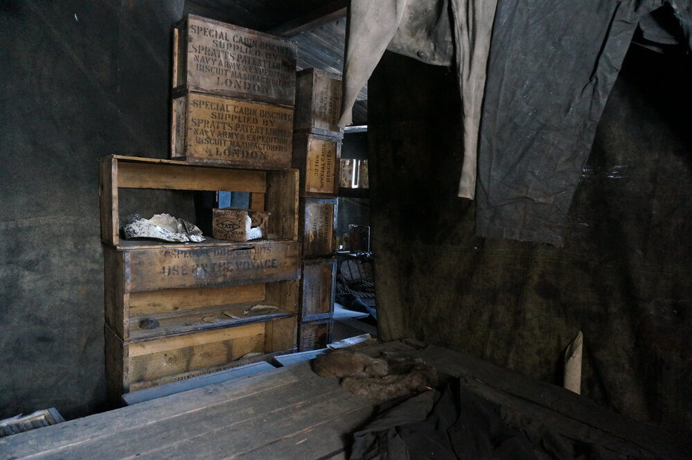 2018-19 Sleeping platform inside Scott's 'Discovery' hut, Hut Point
