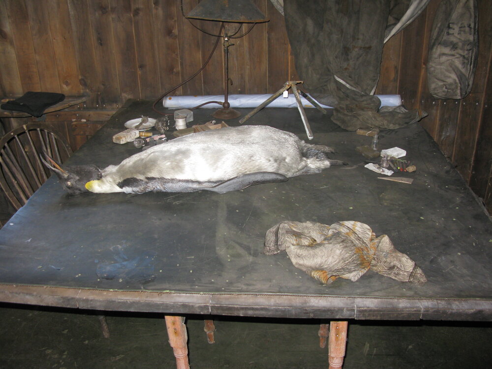 Chart table in Scott's 'Terra Nova' hut