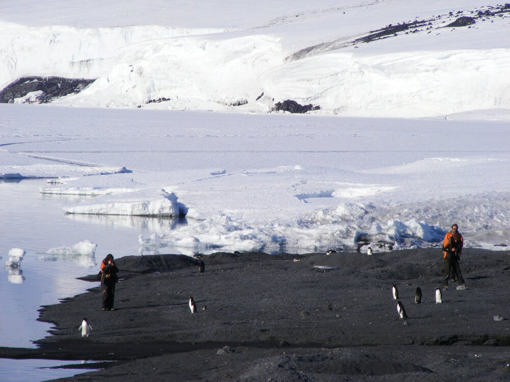 K170 at Cape Evans (003)