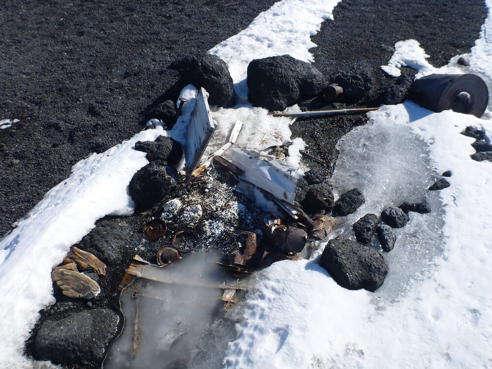 2012-13 Dog skeleton site, Wind Vane Hill