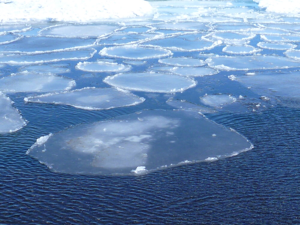 Pancake Ice, Cape Evans (002)