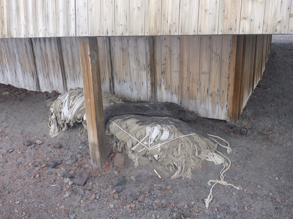 Seal carcase and historic awning (001)