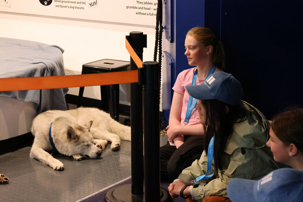 Young Inspiring Explorers learn about Huskies at the International Antarctic Centre (003)