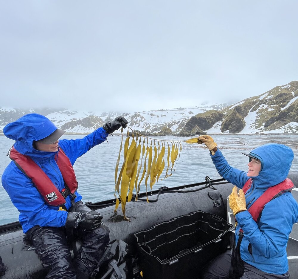 Inspiring Explorers Millie Mannering and Kelly Davenport with kelp