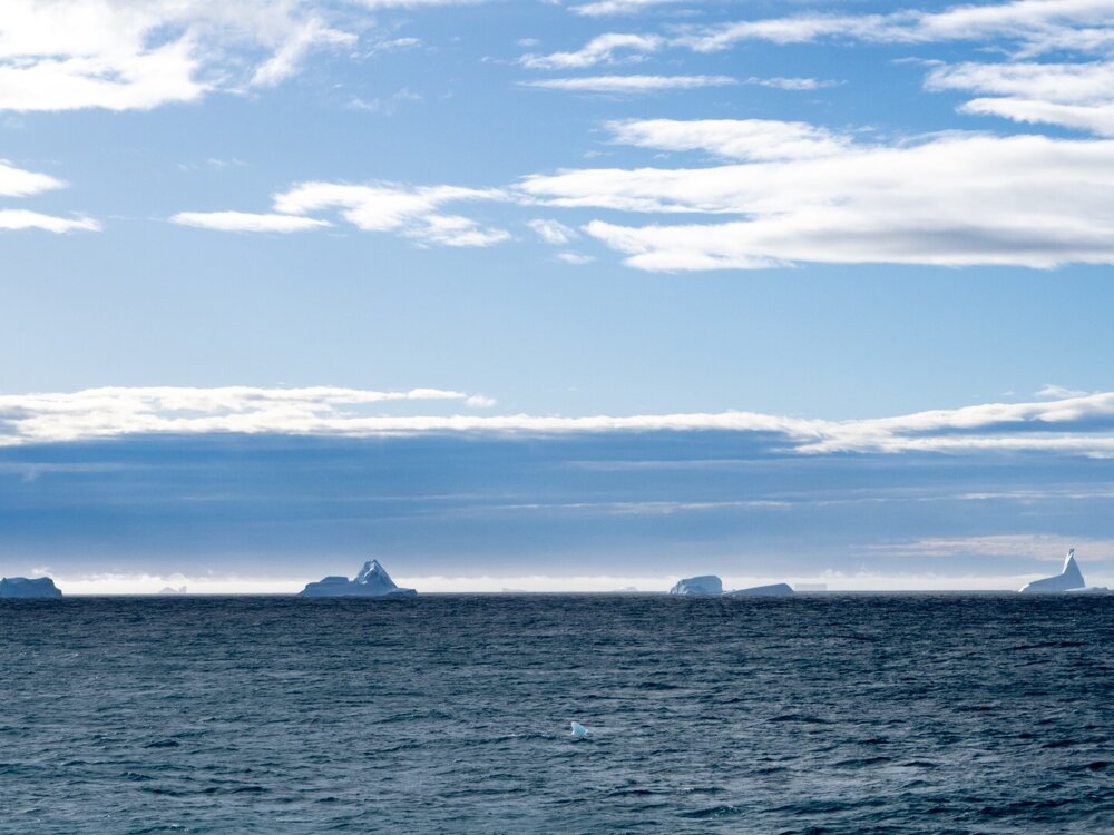 Icebergs near South Georgia