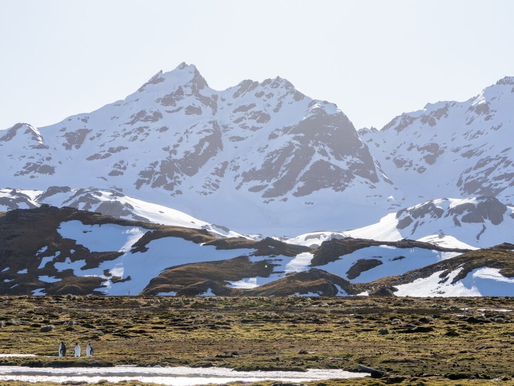 Mountain landscape, South Georgia (002)