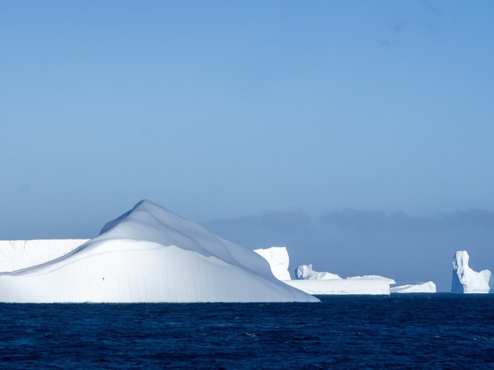Large icebergs, South Georgia (001)