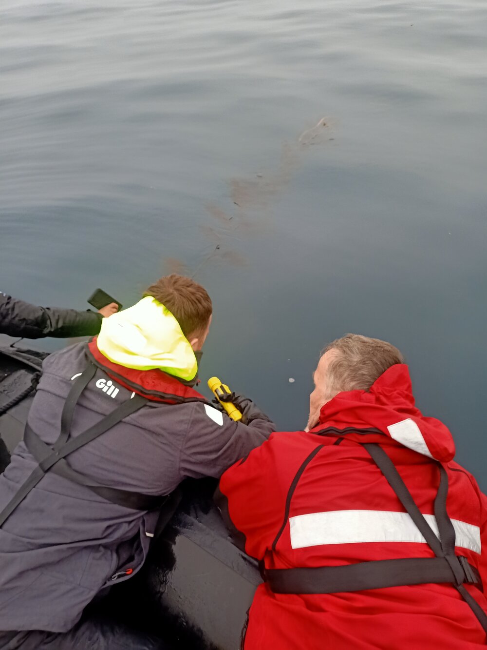 Inspiring Explorer Lawrence Rothwell and MetService's Peter Fisher taking Mangōpare Temperature Sensor measurements