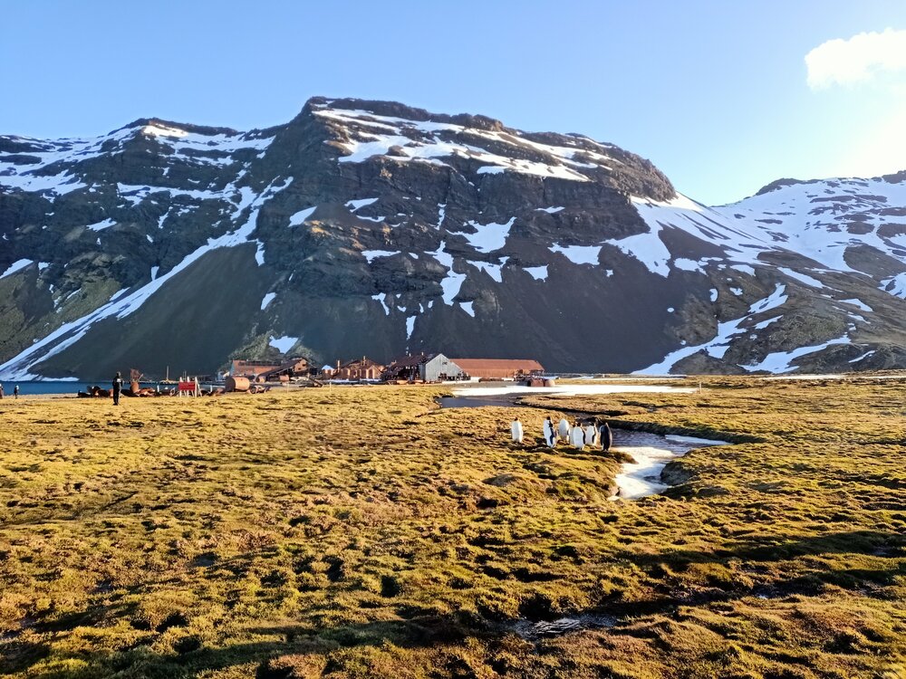 Stromness whaling station, South Georgia (001)