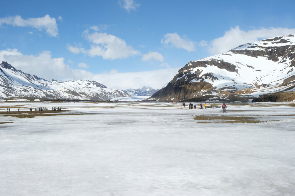 Inspiring Explorers and passengers on a walk