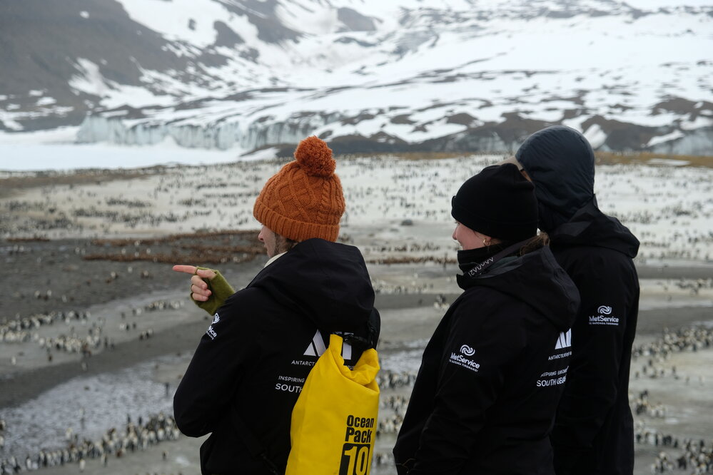 Inspiring Explorers look over the King penguin colony, South Georgia