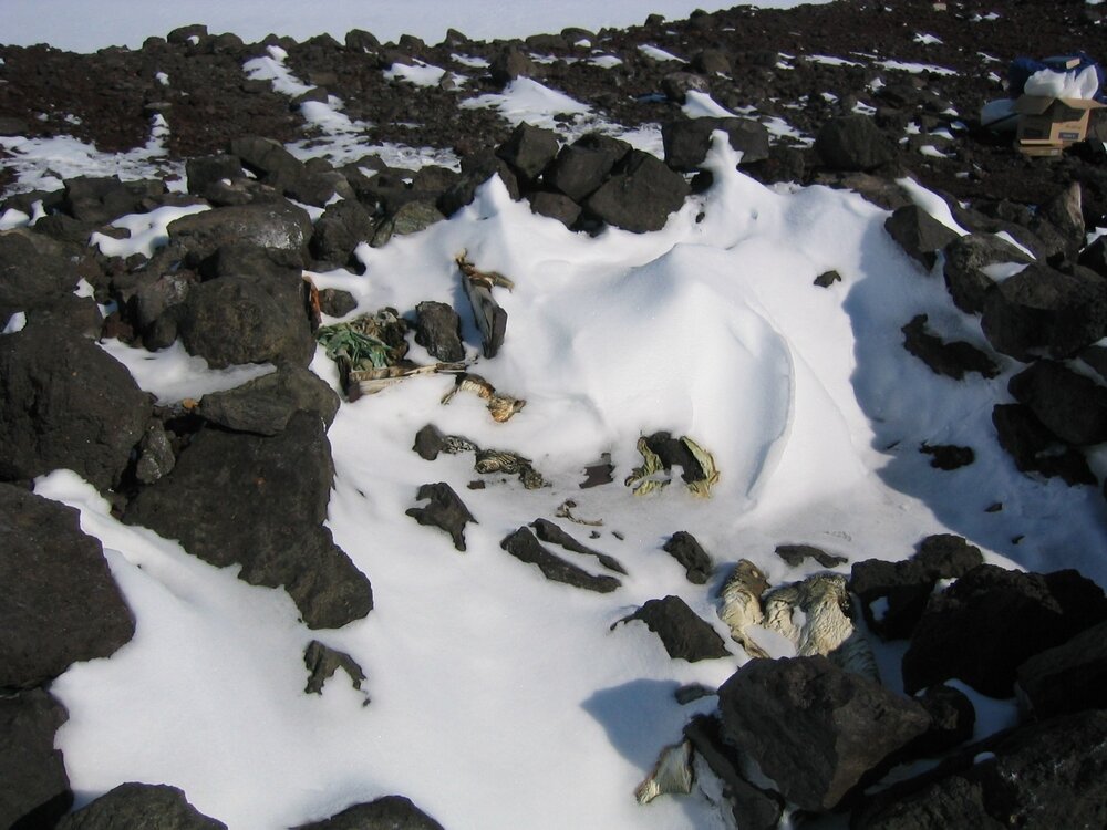 2003 K440 at Cape Crozier - Remnants of Wilson's Igloo (007)