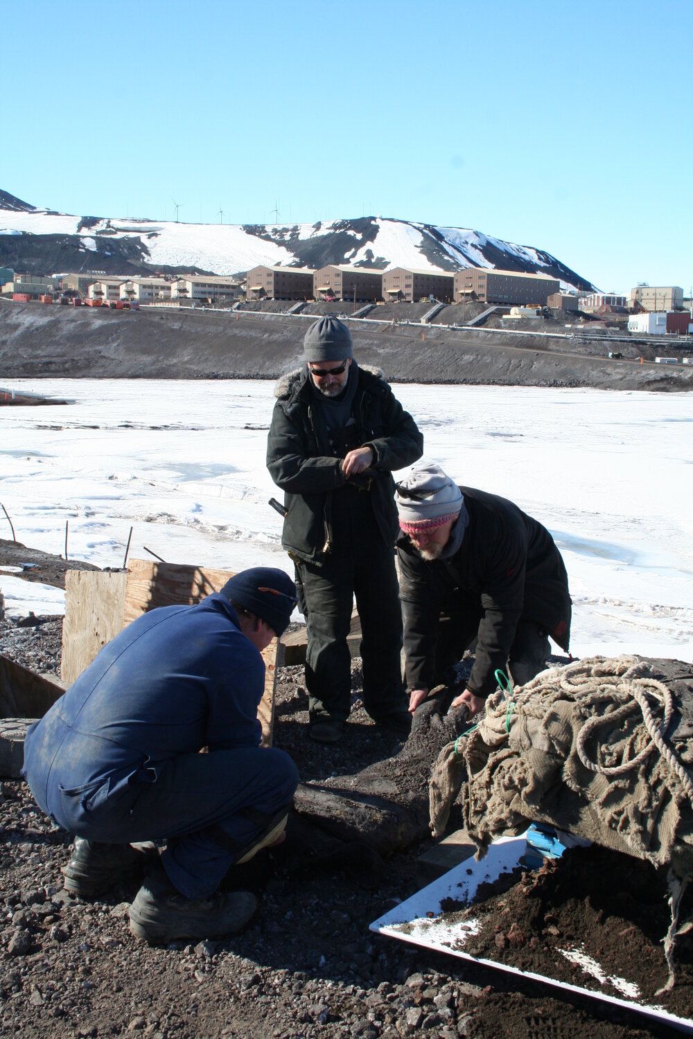 2013-14 AHT team lifting a seal carcass, Hut Point