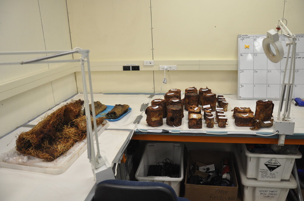 2013-14 Cans and artefacts in the Conservation lab, Scott Base (001)