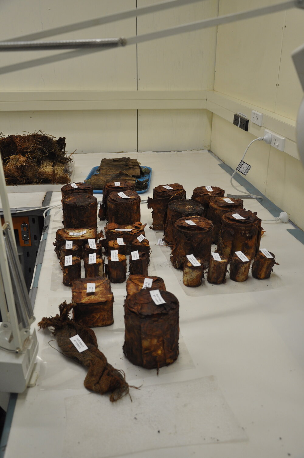 2013-14 Cans and artefacts in the Conservation lab, Scott Base (002)