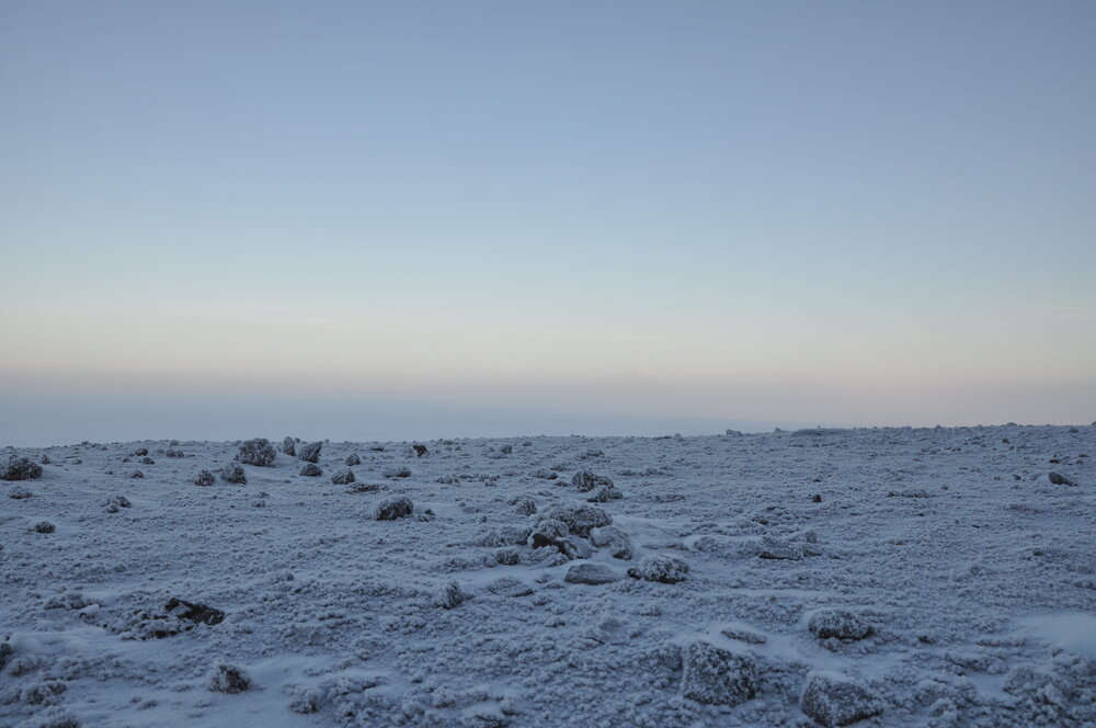 2013-14 Icy landscape (001)