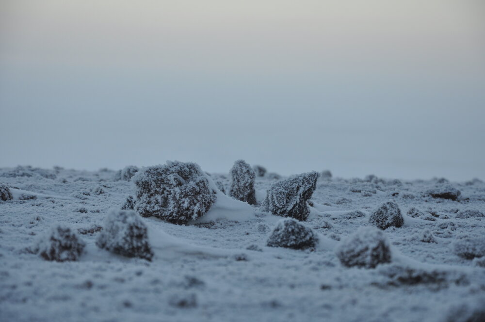 2013-14 Icy landscape (002)
